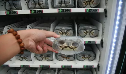 博天堂(918.com)官网-918博天堂,让你更杰出